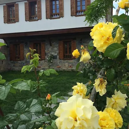 Efes Konaklari Fogadó Selçuk