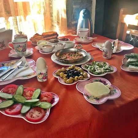 Efes Konaklari