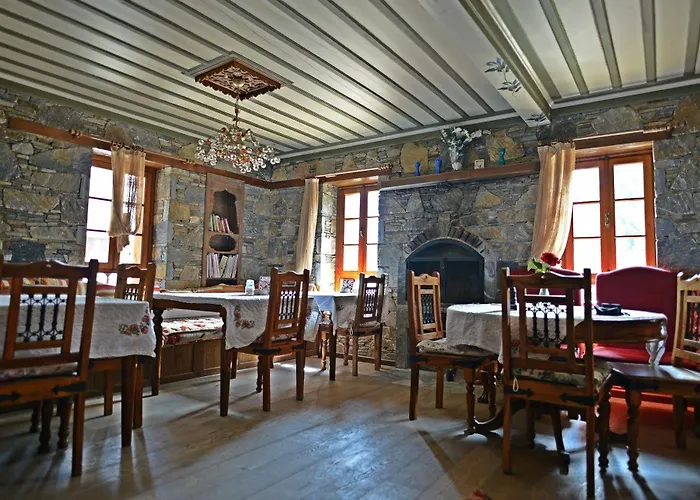 Мини-отель Efes Konaklari 4*